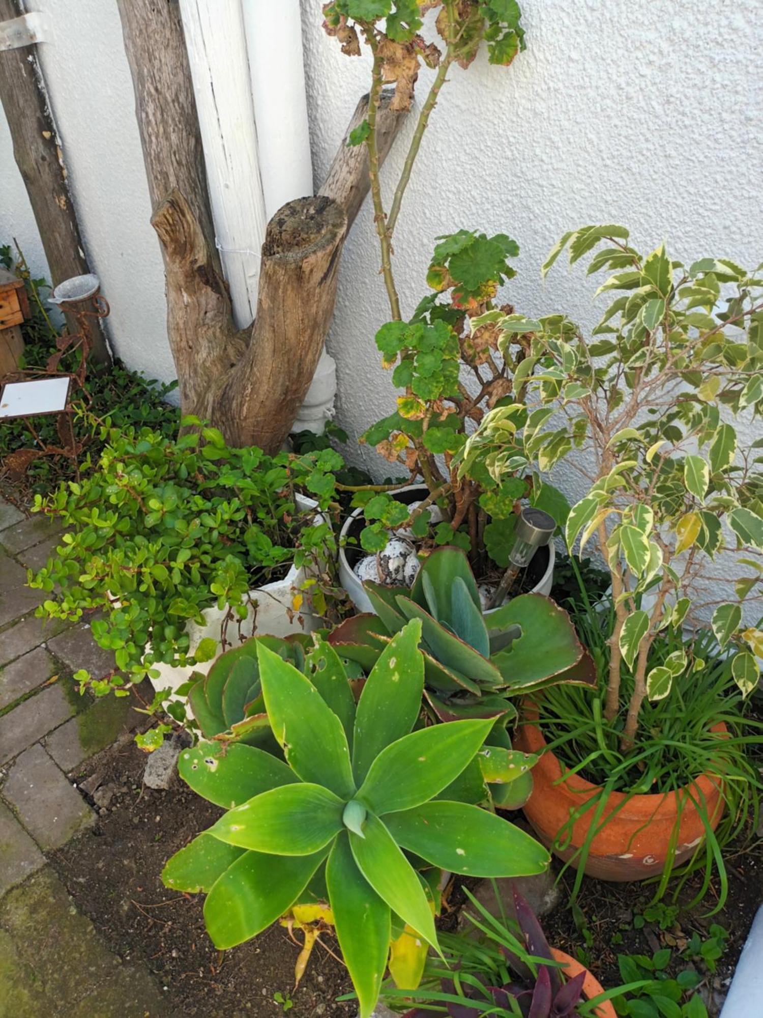 Self Catering Unit 7, Sandbaai Hermanus Room photo